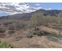 SE VENDE PARCELA DE 15.000MTR2 ZONA ASPE