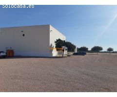 NAVE INDUSTRIAL EN VENTA ZONA CREVILLENTE