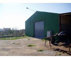 Nave industrial en Venta en Crevillente, Alicante