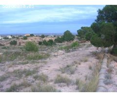 Parcela en Venta en Crevillente, Alicante