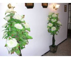 Piso en Venta en Crevillente, Alicante
