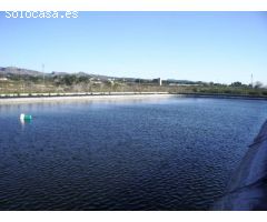 Casa de campo en Venta en Crevillente, Alicante