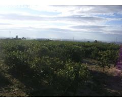 Casa de campo en Venta en Crevillente, Alicante