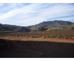 Finca rustica en Venta en Novelda, Alicante