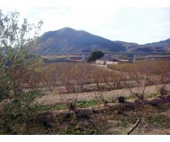 Finca rustica en Venta en Novelda, Alicante
