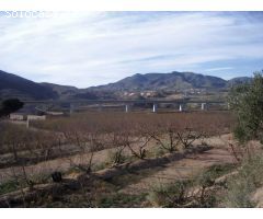 Finca rustica en Venta en Novelda, Alicante