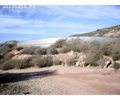 Finca rustica en Venta en Novelda, Alicante