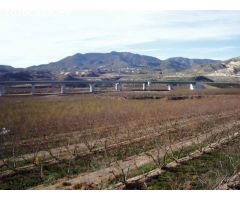 Finca rustica en Venta en Novelda, Alicante