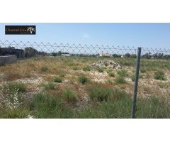 SE VENDE PARCELA DE 17.000 M2 EN PARTIDA MATOLA