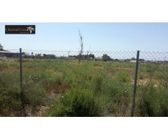 SE VENDE PARCELA DE 17.000 M2 EN PARTIDA MATOLA