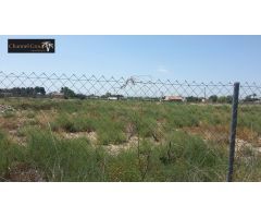 SE VENDE PARCELA DE 17.000 M2 EN PARTIDA MATOLA