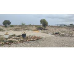 SE VENDE TERRENO DE 14900 M2, CON LUZ Y AGUA, ZONA NOVELDA !!!