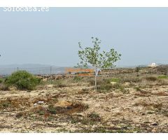 SE VENDE TERRENO DE 14900 M2, CON LUZ Y AGUA, ZONA NOVELDA !!!