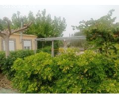 Oportunidad Única! Venta de Parcela con Casa, Zona Ajardinada y Olivar en Producción