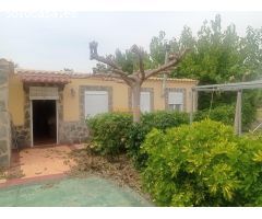 Oportunidad Única! Venta de Parcela con Casa, Zona Ajardinada y Olivar en Producción