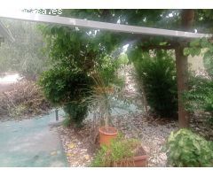 Oportunidad Única! Venta de Parcela con Casa, Zona Ajardinada y Olivar en Producción