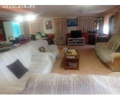 Oportunidad Única! Venta de Parcela con Casa, Zona Ajardinada y Olivar en Producción