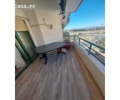 Pisco en La Mata a escasos pasos del mar