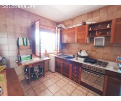 Planta baja en la Regia, Orihuela Costa