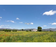 ???? ¡Venta de PARCELA y casa de Campo con Estilo en IBI a 30 minutos de (ALICANTE!) ????