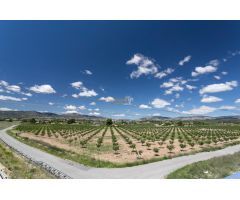 ???? ¡Venta de PARCELA y casa de Campo con Estilo en IBI a 30 minutos de (ALICANTE!) ????