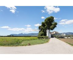 ???? ¡Venta de PARCELA y casa de Campo con Estilo en IBI a 30 minutos de (ALICANTE!) ????