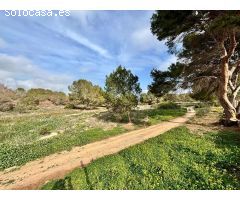 Encantador bungalow en El Chaparral, Torrevieja