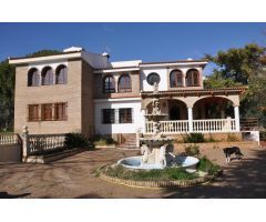 Finca urbana en Palomares del Río (Sevilla), en parcela de 6.977 m2
