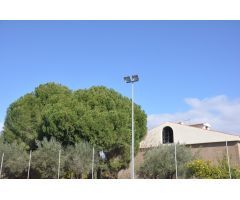 Finca urbana en Palomares del Río (Sevilla), en parcela de 6.977 m2
