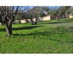 Finca urbana en Palomares del Río (Sevilla), en parcela de 6.977 m2