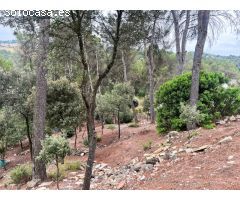 Parcela de 640 m2 a Castellnou de Bages