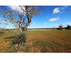 Terreno en Campos con vistas despejadas