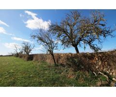 Terreno en Campos con vistas despejadas