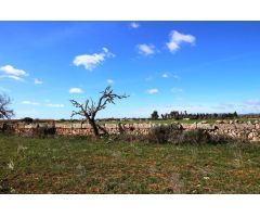 Terreno en Campos con vistas despejadas