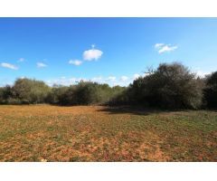Terreno en Campos con vistas despejadas