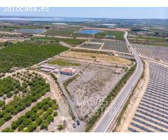 ¡Inversión Única! Finca Rústica en Los Montesinos con Vistas Panorámicas a la Laguna Rosa