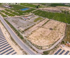 ¡Inversión Única! Finca Rústica en Los Montesinos con Vistas Panorámicas a la Laguna Rosa