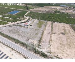 ¡Inversión Única! Finca Rústica en Los Montesinos con Vistas Panorámicas a la Laguna Rosa