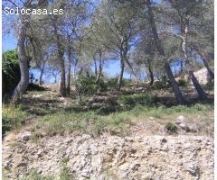 Terreno en urbanización Las Palmeras