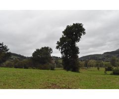Terreno  Iruz Santiurde de Toranzo