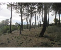 VENTA TERRENO URBANO EN SANTORCAZ
