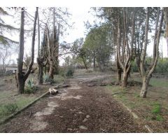 VENTA TERRENO URBANO EN SANTORCAZ