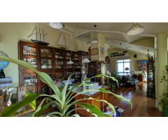 VENTA CHALET LUJO EN PEÑAGRANDE, ARROYO FRESNO PUERTA DE HIERRO