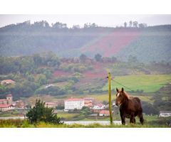 10000 metros de terreno rural en el centro de Urduliz, muy proximo al hospital de Urduliz.