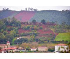 10000 metros de terreno rural en el centro de Urduliz, muy proximo al hospital de Urduliz.