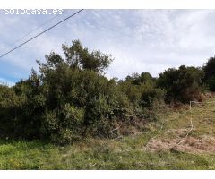 10000 metros de terreno rural en el centro de Urduliz, muy proximo al hospital de Urduliz.