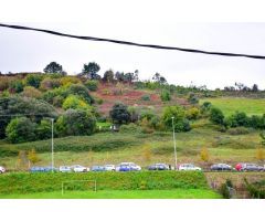 10000 metros de terreno rural en el centro de Urduliz, muy proximo al hospital de Urduliz.