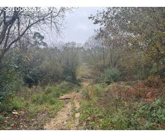 Terreno rural en Sopela, cer ca del garden center camino de Umbe