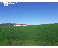Inmobiliaria Telletxe vende terreno industrial en la Puebla de Arganzón a 5 minutos de Vitoria-Gazte