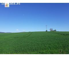 Inmobiliaria Telletxe vende terreno industrial en la Puebla de Arganzón a 5 minutos de Vitoria-Gazte